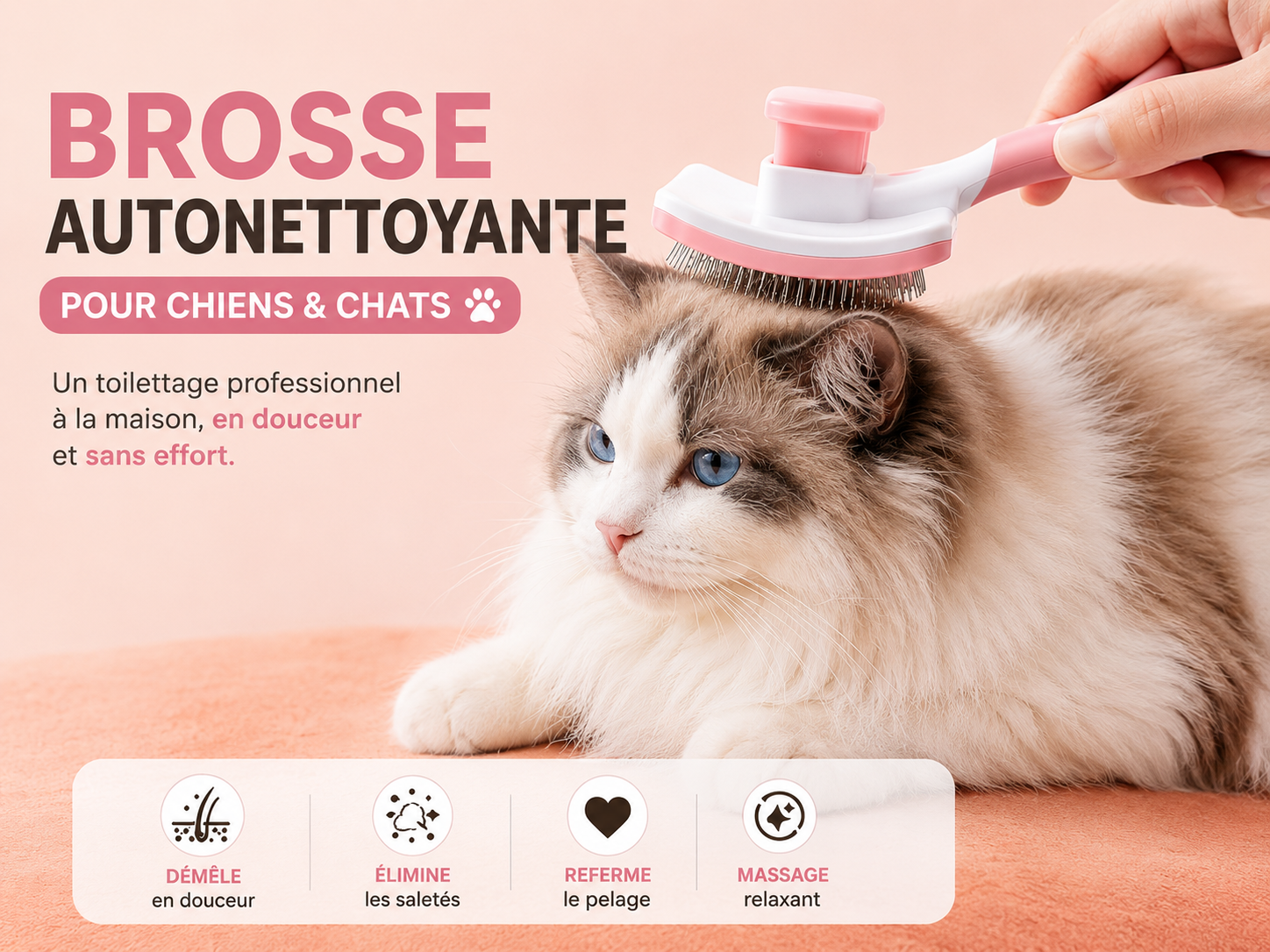 Brosse pour poils de chien et de chat – Outil d'élimination des poils morts – Peigne de massage sûr pour poils longs, mi-longs et courts